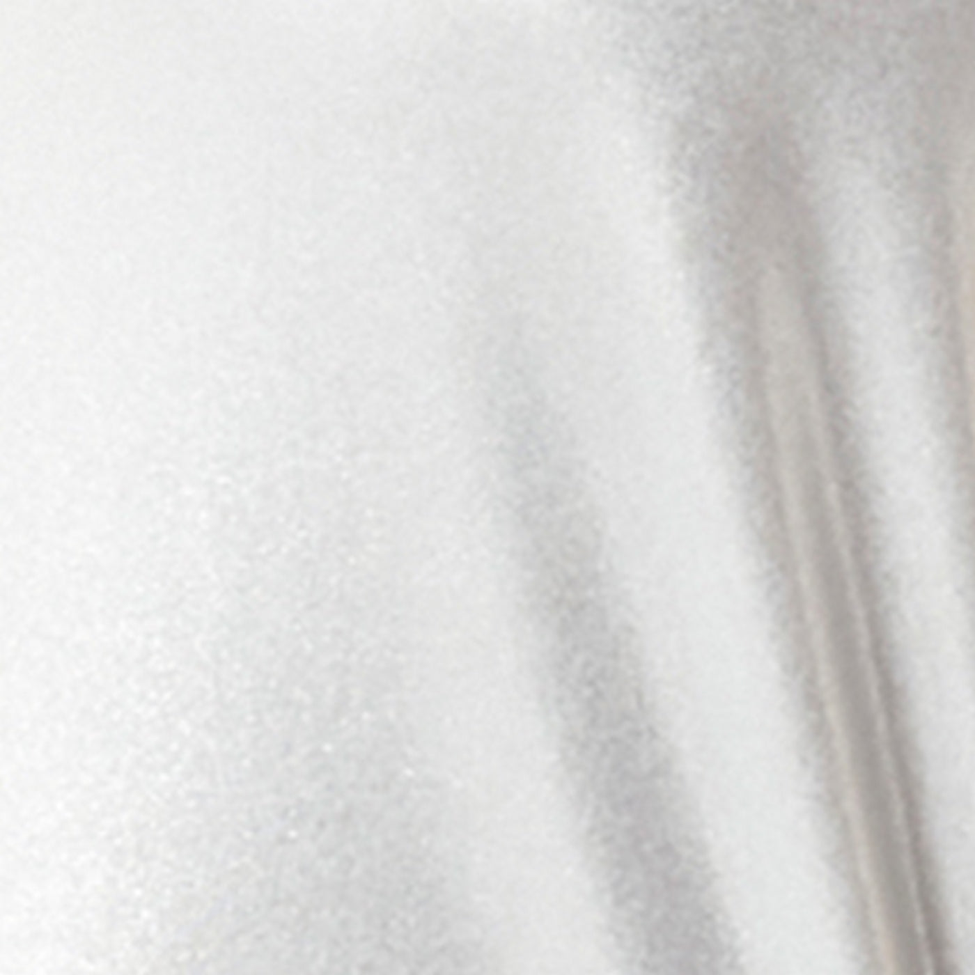 Maillot De Bain Swans - Silver